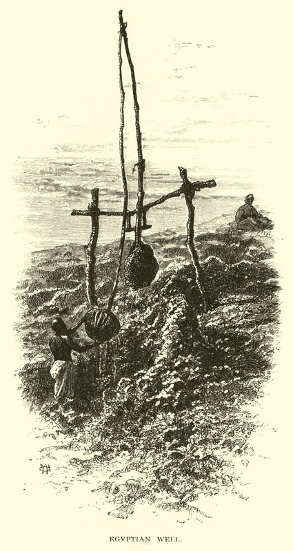 Egyptian Well by American School