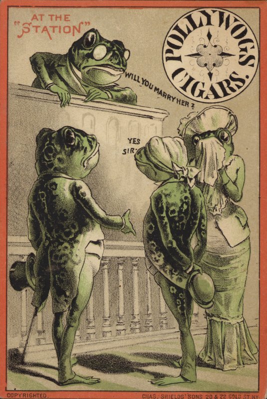 Frogs Getting Married at the Station by American School