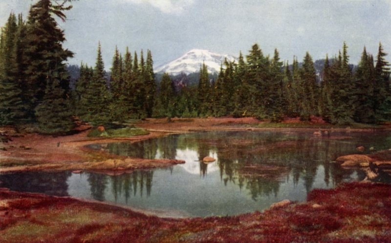 In the Oregon Mountains by American School