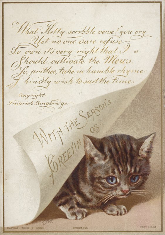 Kitten Hiding Under Letter by American School