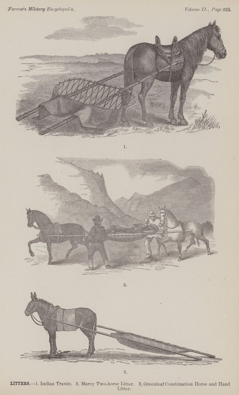 Litters by American School