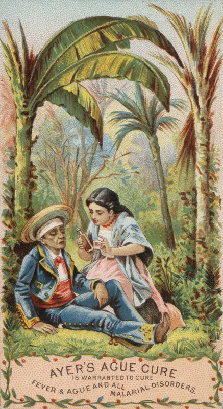 Man With Malaria by American School