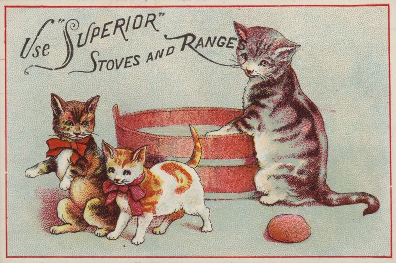 Mother Cat with Kittens by American School
