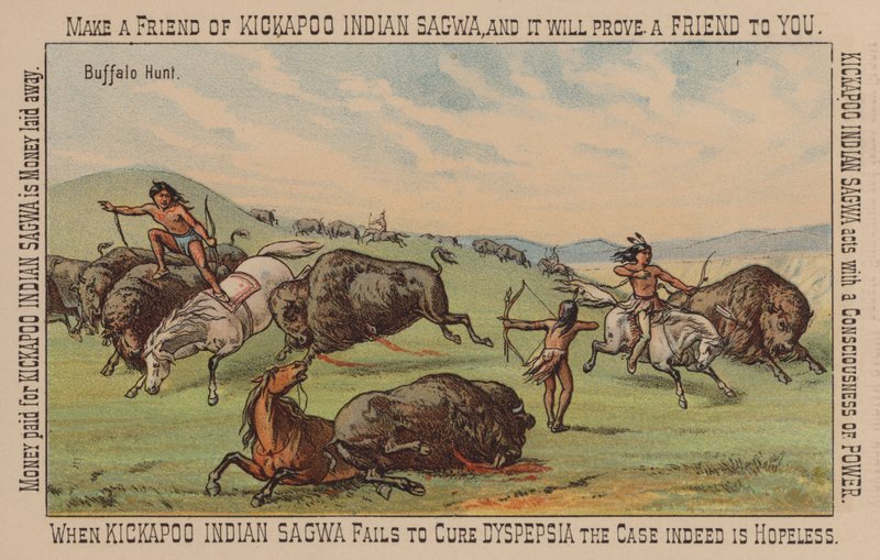Native American Hunting Buffalo by American School