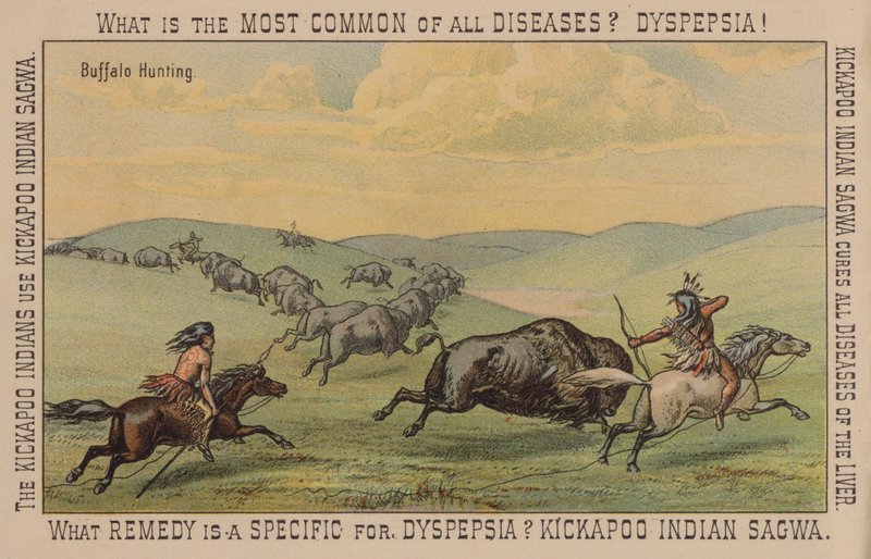 Native Americans Hunting Buffalo by American School