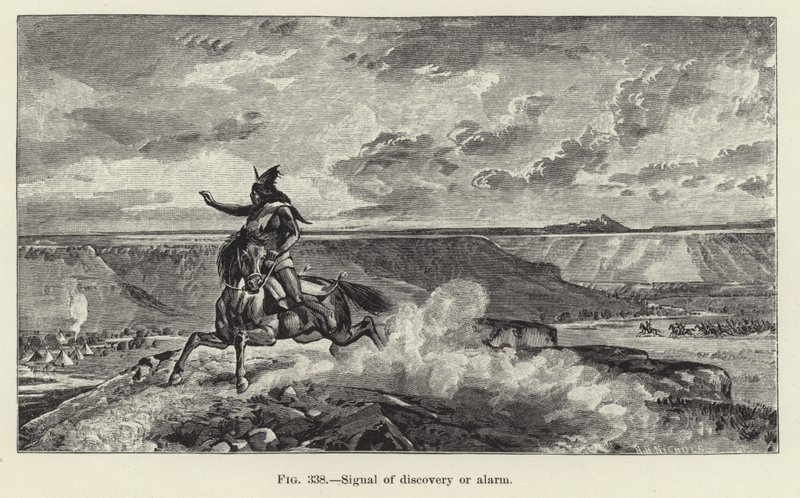 Signal of Discovery or Alarm by American School