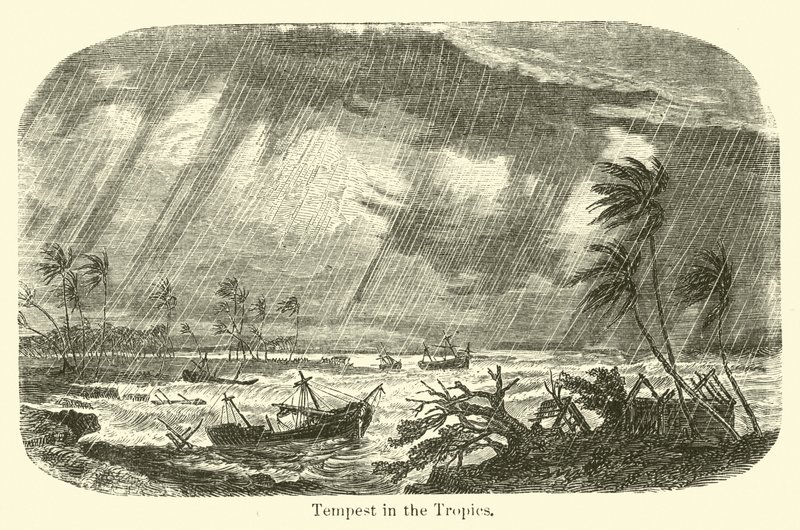 Tempest in the Tropics by American School