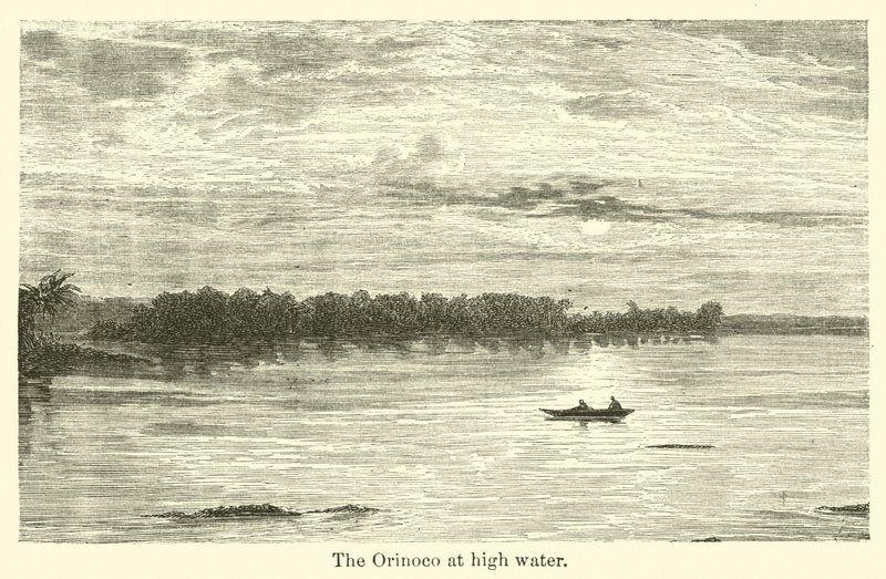 The Orinoco at high water by American School