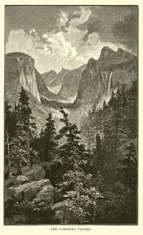 The Yosemite Valley by American School