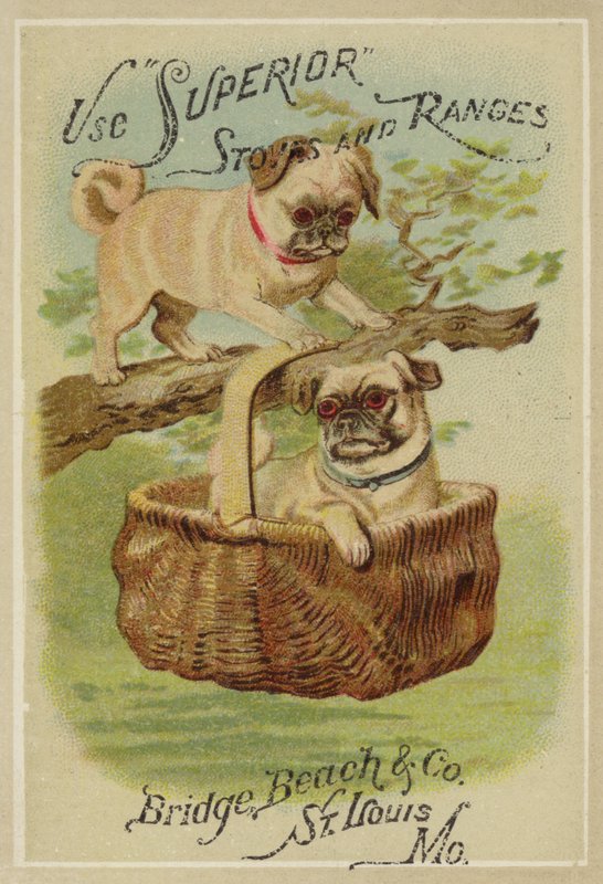 Two Dogs and Basket by American School