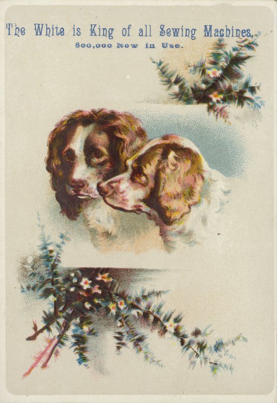 Two Dog Heads Together by American School