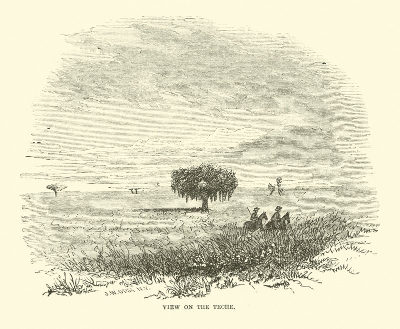 View on the Teche by American School