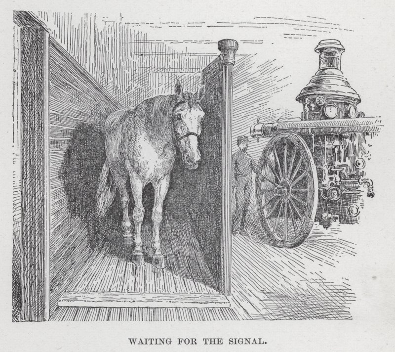 Waiting for the Signal by American School