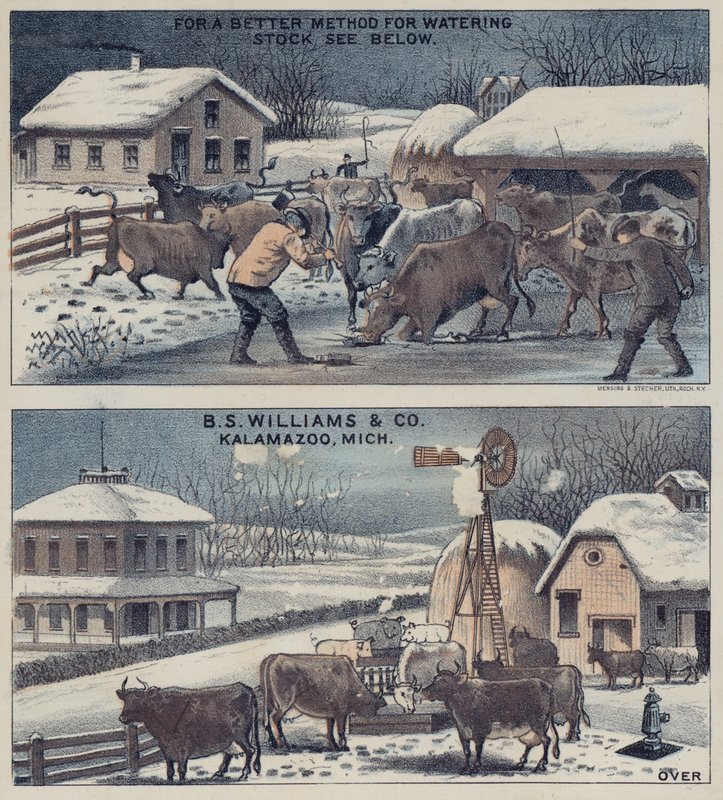 Watering System for Cattle by American School