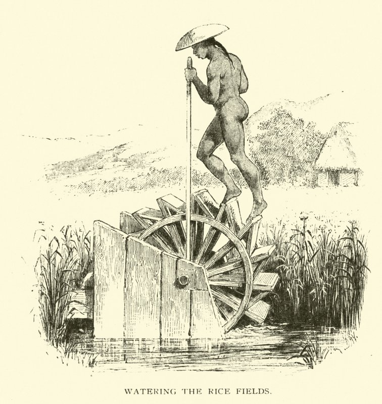 Watering the rice fields by American School
