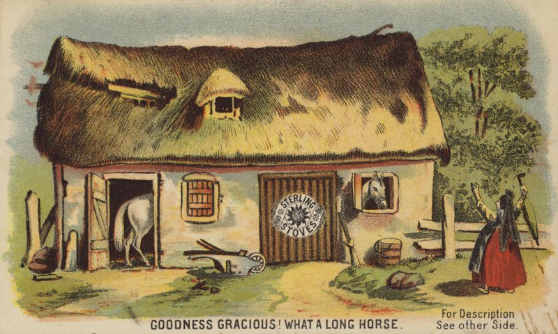What a Long Horse by American School