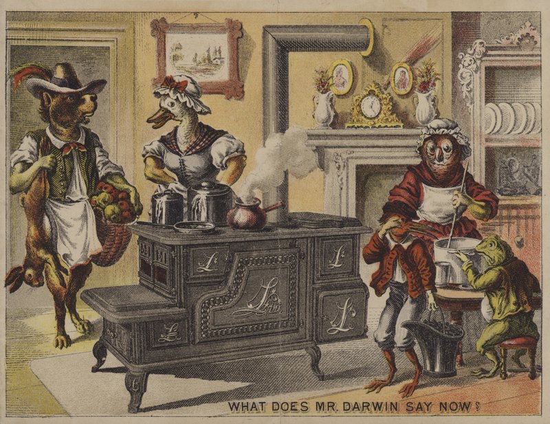 What does Mr Darwin say now? by American School