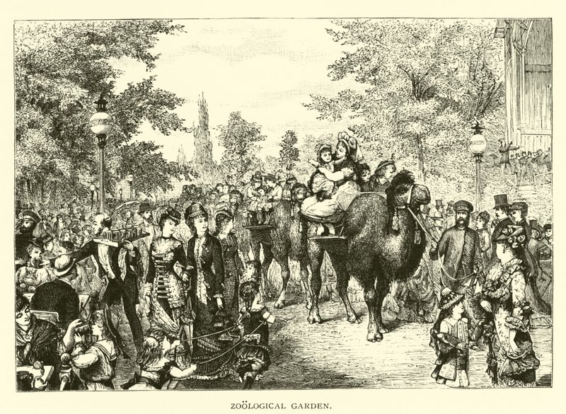 Zoological Garden by American School