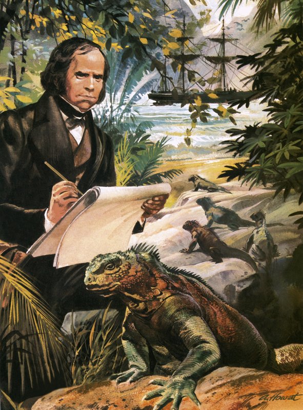 Charles Darwin on the Galapagos Islands by Andrew Howat