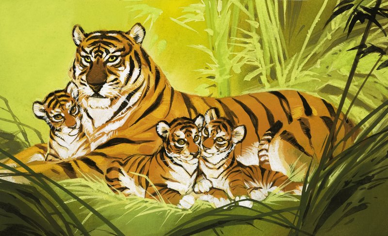 Family of Tigers by Angus McBride