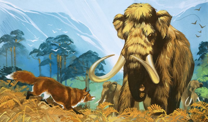 Fox Attacking Mammoth by Angus McBride