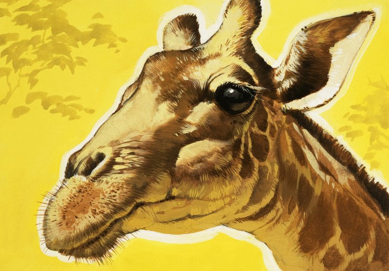 Giraffe