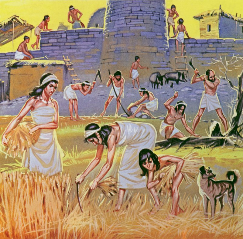 New Stone Age Farmers by Angus McBride