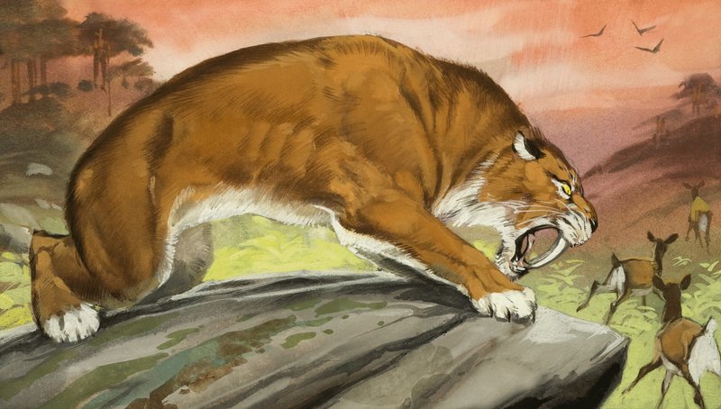 Sabre-toothed Tiger Out Hunting by Angus McBride