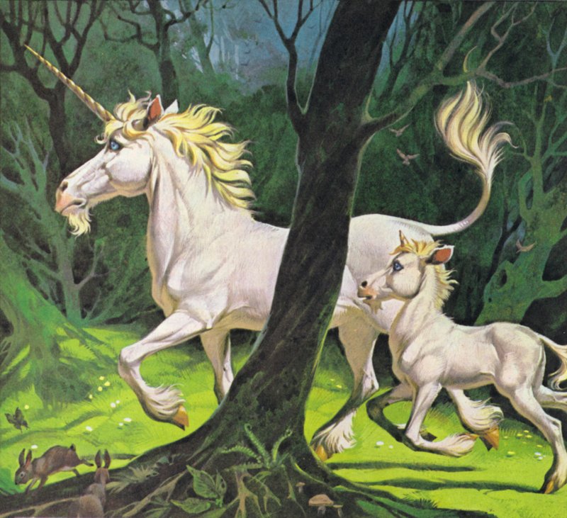 Unicorns by Angus McBride