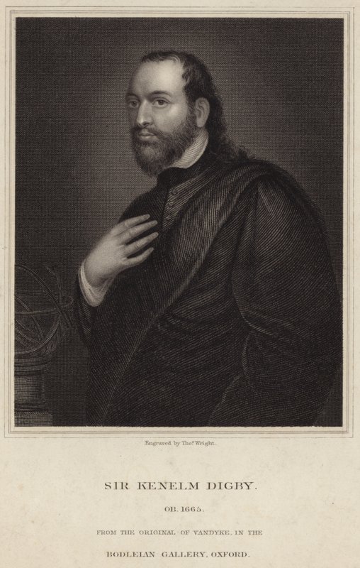 Portrait of Sir Kenelm Digby by Anthony van Dyck