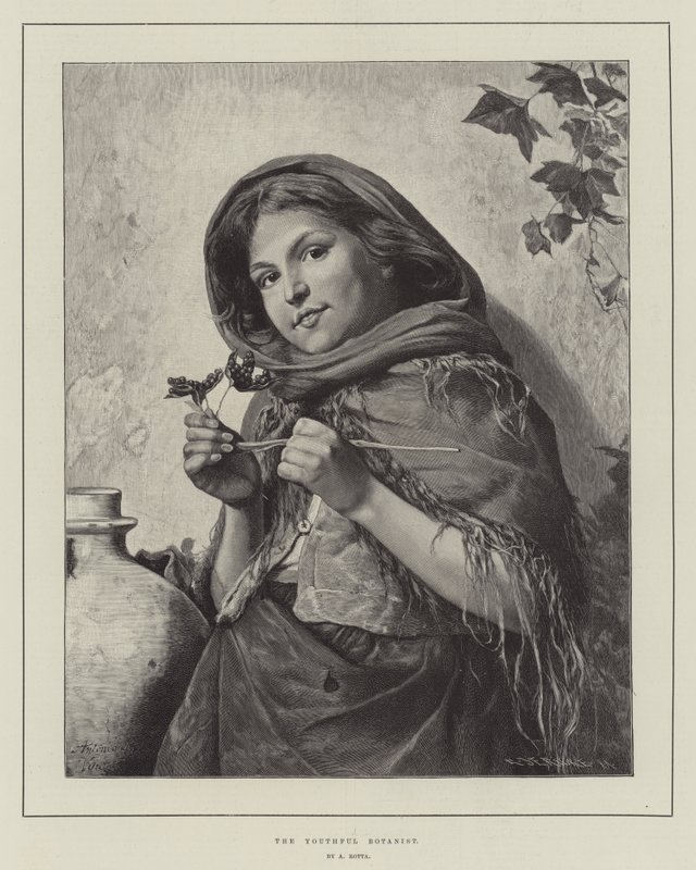 The Youthful Botanist by Antonio Rotta