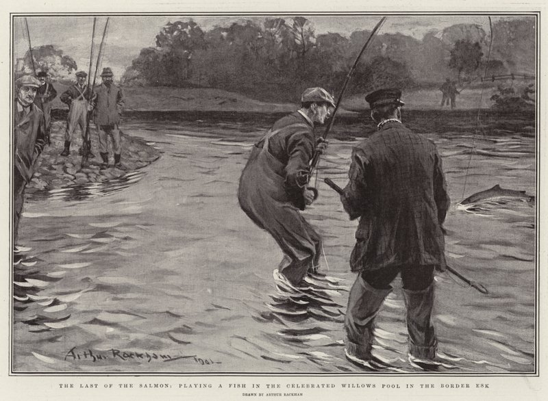 The Last of the Salmon, Playing a Fish in the Celebrated Willows Pool in the Border Esk by Arthur Rackham