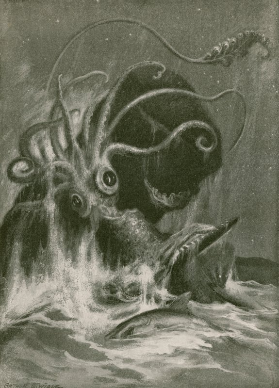 Kraken versus Sperm Whale by Arthur Twidle