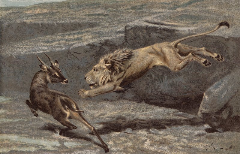 A Night Attack by Arthur Wardle
