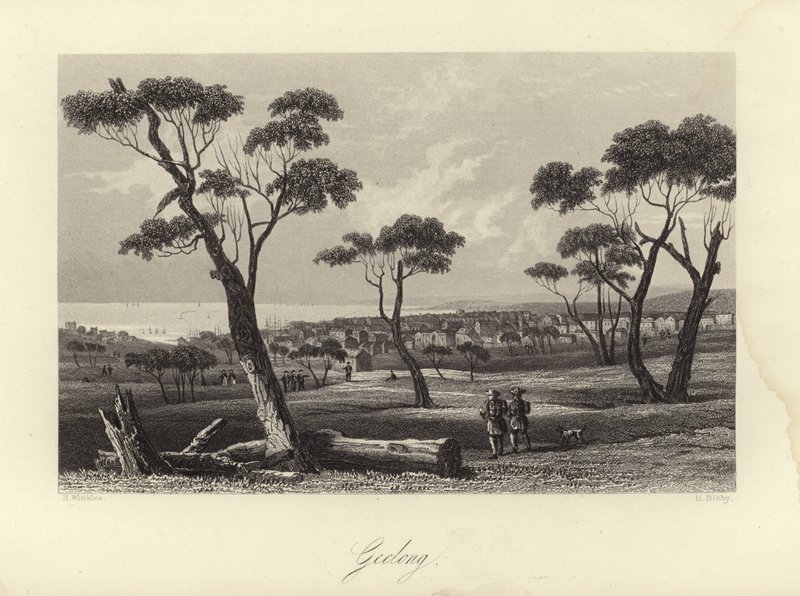 Geelong by Australian School