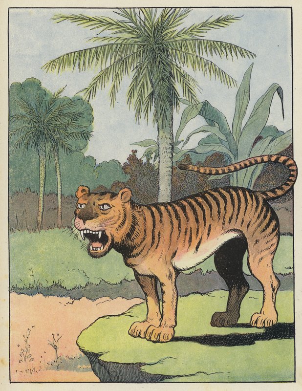 Tiger by Benjamin Rabier