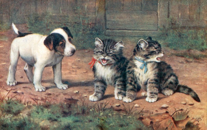 Cat Postcard by Bernard Cobbe