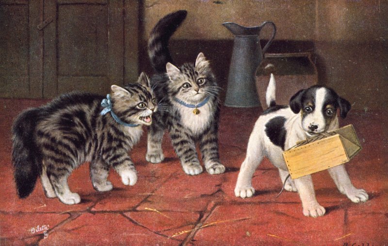 Cat Postcard by Bernard Cobbe