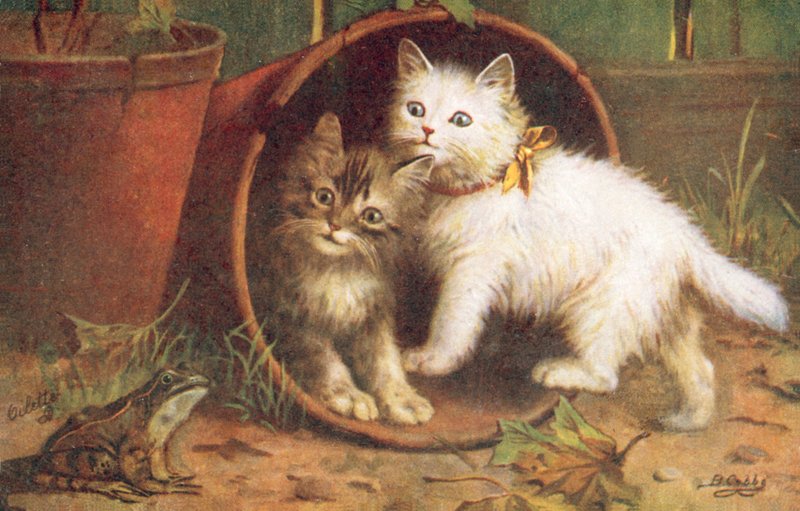 Cat Postcard by Bernard Cobbe