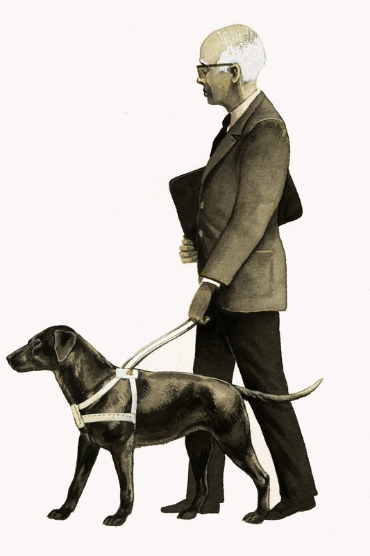 Guide Dog for the Blind by Bob Hersey