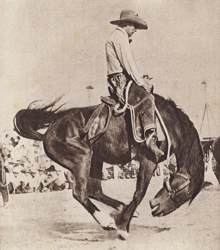 Cowboy riding a bucking bronco by Canadian Photographer