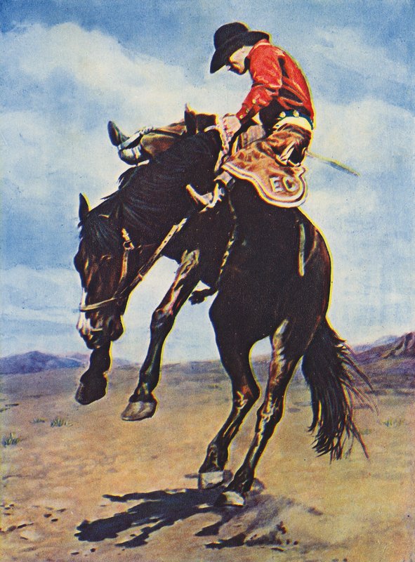 Cowboy riding a bucking bronco by Canadian Photographer