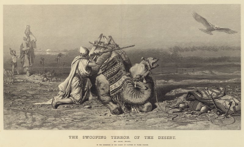 The Swooping Terror of the Desert by Carl Haag
