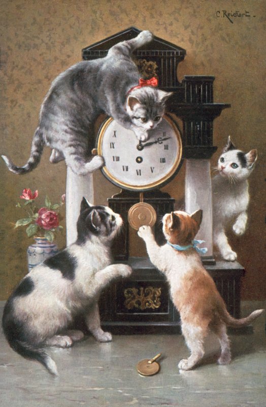 Cat Postcard by Carl Reichert