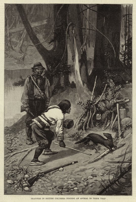 Trappers in British Columbia finding an Animal in their Trap by Charles Edwin Fripp
