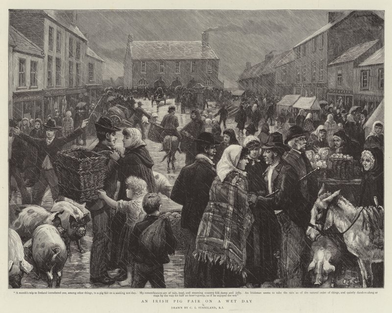 An Irish Pig Fair on a Wet Day by Charles J. Staniland