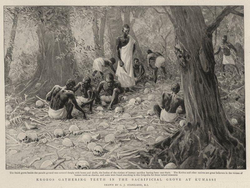 Krobos gathering Teeth in the Sacrificial Grove at Kumassi by Charles J. Staniland