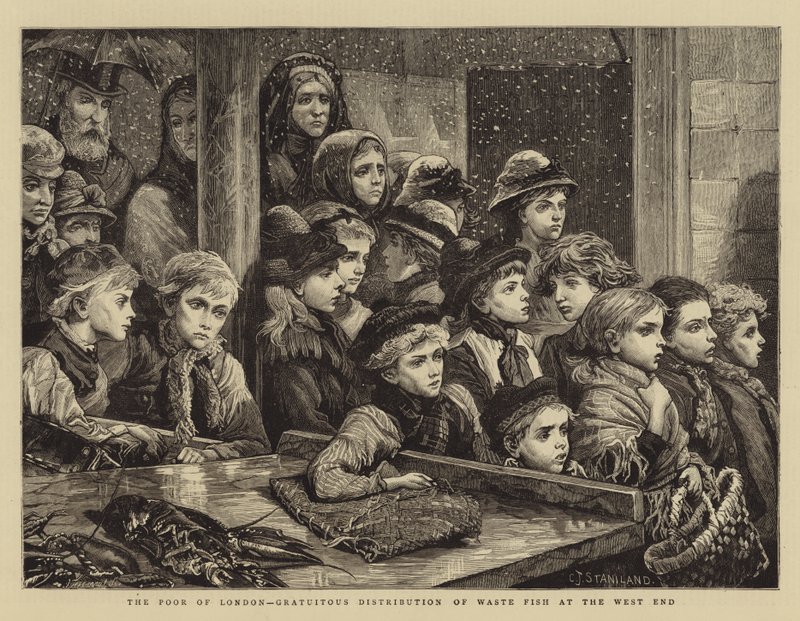 The Poor of London, Gratuitous Distribution of Waste Fish at the West End by Charles J. Staniland