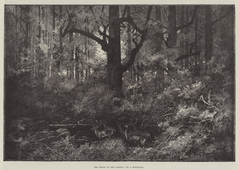 The Heart of the Forest by Charles Auguste Loye
