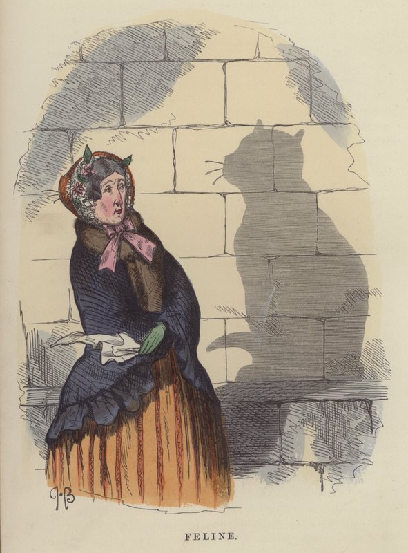 Feline by Charles Henry Bennett